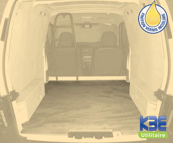 2C10-PCA-100.jpg